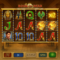 RoboCat - Book of Dead Slot Game